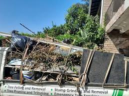 Best Basement Cleanout  in Linden, AZ