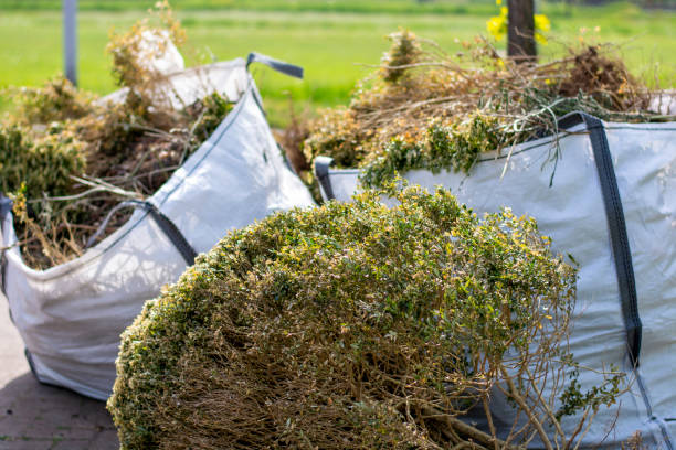 Best Demolition Debris Removal  in Linden, AZ